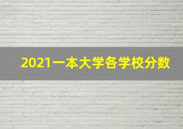 2021一本大学各学校分数