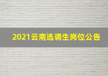 2021云南选调生岗位公告