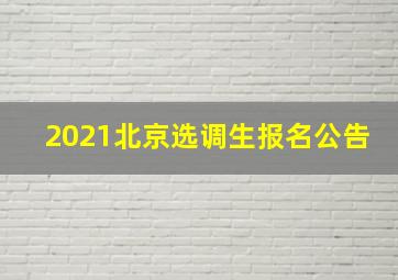 2021北京选调生报名公告