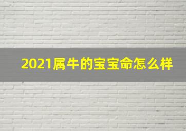 2021属牛的宝宝命怎么样