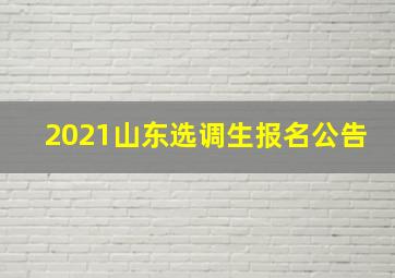 2021山东选调生报名公告