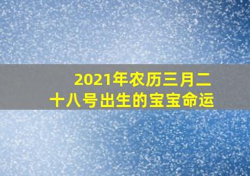 2021年农历三月二十八号出生的宝宝命运