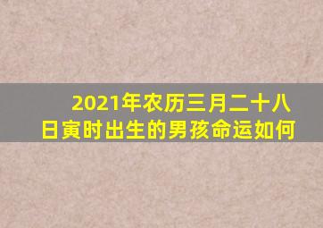 2021年农历三月二十八日寅时出生的男孩命运如何