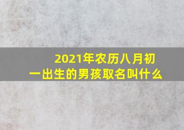 2021年农历八月初一出生的男孩取名叫什么