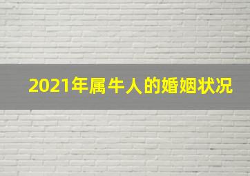 2021年属牛人的婚姻状况