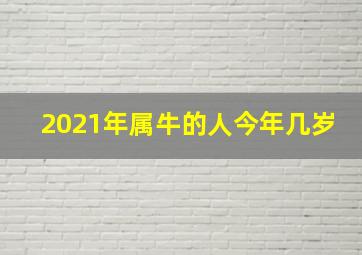 2021年属牛的人今年几岁