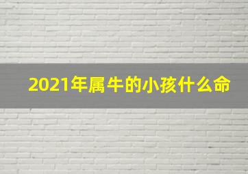 2021年属牛的小孩什么命