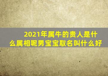 2021年属牛的贵人是什么属相呢男宝宝取名叫什么好