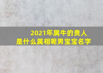 2021年属牛的贵人是什么属相呢男宝宝名字