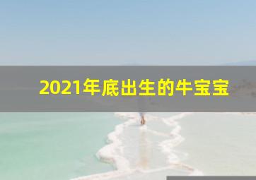 2021年底出生的牛宝宝