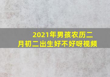 2021年男孩农历二月初二出生好不好呀视频