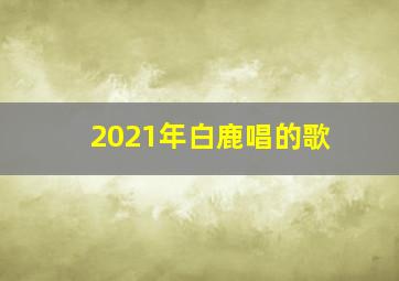 2021年白鹿唱的歌