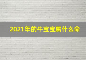 2021年的牛宝宝属什么命