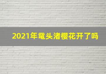 2021年鼋头渚樱花开了吗