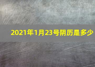 2021年1月23号阴历是多少