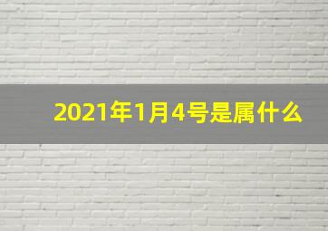 2021年1月4号是属什么