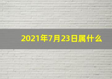 2021年7月23日属什么