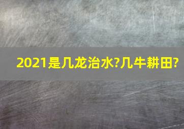 2021是几龙治水?几牛耕田?