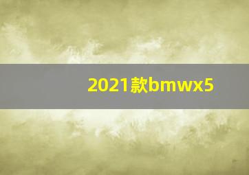 2021款bmwx5