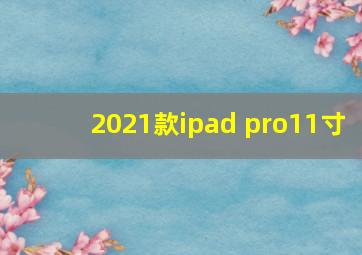 2021款ipad pro11寸