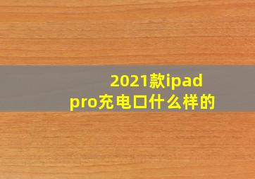 2021款ipadpro充电口什么样的