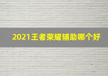 2021王者荣耀辅助哪个好