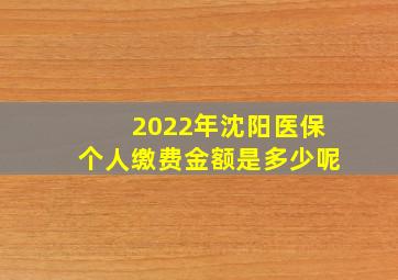 2022年沈阳医保个人缴费金额是多少呢