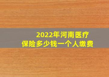 2022年河南医疗保险多少钱一个人缴费