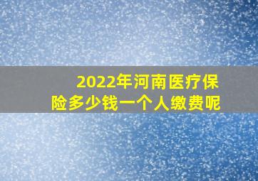 2022年河南医疗保险多少钱一个人缴费呢