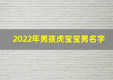 2022年男孩虎宝宝男名字