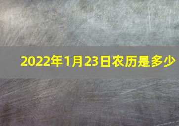 2022年1月23日农历是多少