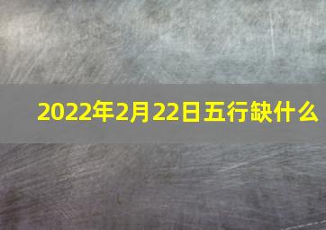 2022年2月22日五行缺什么