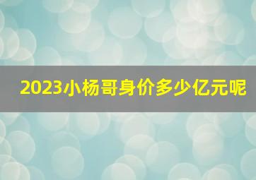 2023小杨哥身价多少亿元呢