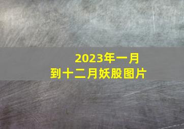 2023年一月到十二月妖股图片