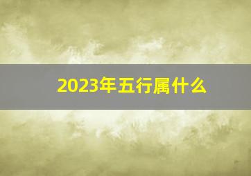 2023年五行属什么