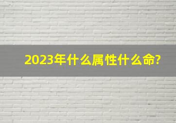 2023年什么属性什么命?