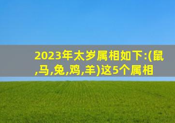 2023年太岁属相如下:(鼠,马,兔,鸡,羊)这5个属相