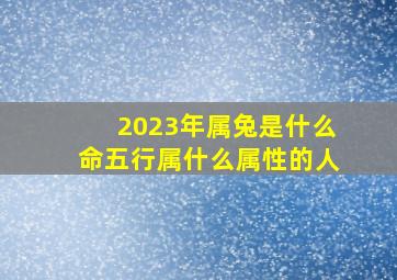 2023年属兔是什么命五行属什么属性的人