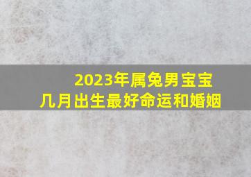 2023年属兔男宝宝几月出生最好命运和婚姻