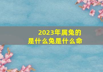 2023年属兔的是什么兔是什么命