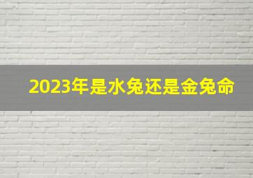 2023年是水兔还是金兔命