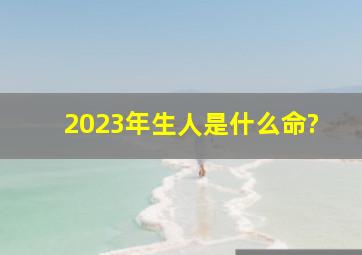 2023年生人是什么命?