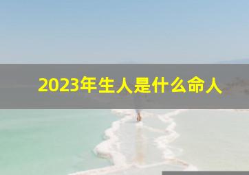 2023年生人是什么命人