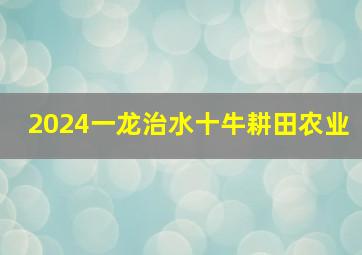 2024一龙治水十牛耕田农业