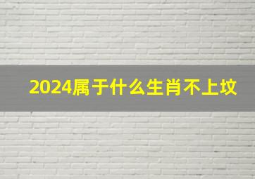 2024属于什么生肖不上坟