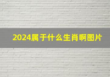 2024属于什么生肖啊图片