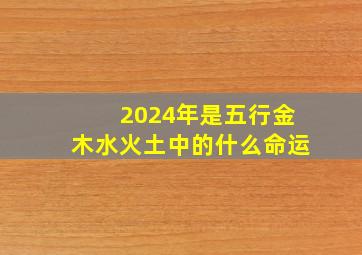 2024年是五行金木水火土中的什么命运