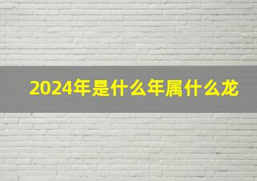 2024年是什么年属什么龙