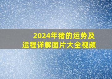 2024年猪的运势及运程详解图片大全视频