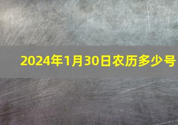 2024年1月30日农历多少号